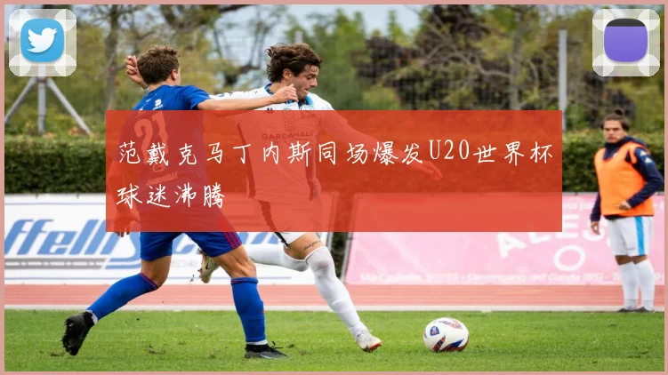 范戴克马丁内斯同场爆发U20世界杯球迷沸腾