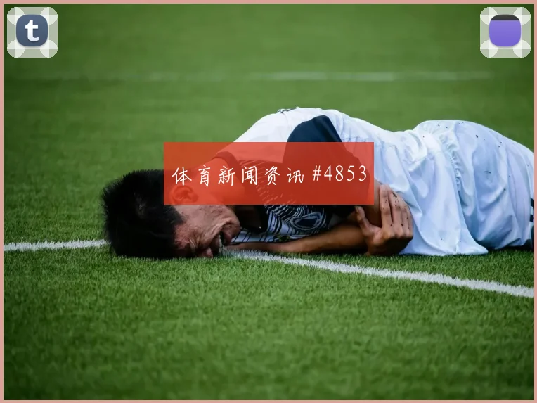 新西兰对比利时世界杯总进球分析