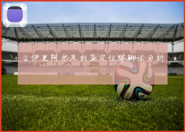 古伊里阿尔及利亚定位球脚法分析