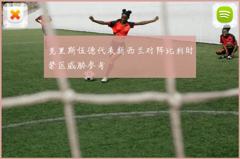 克里斯伍德代表新西兰对阵比利时禁区威胁参考